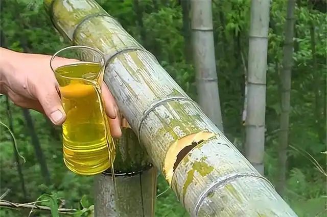 白酒知识