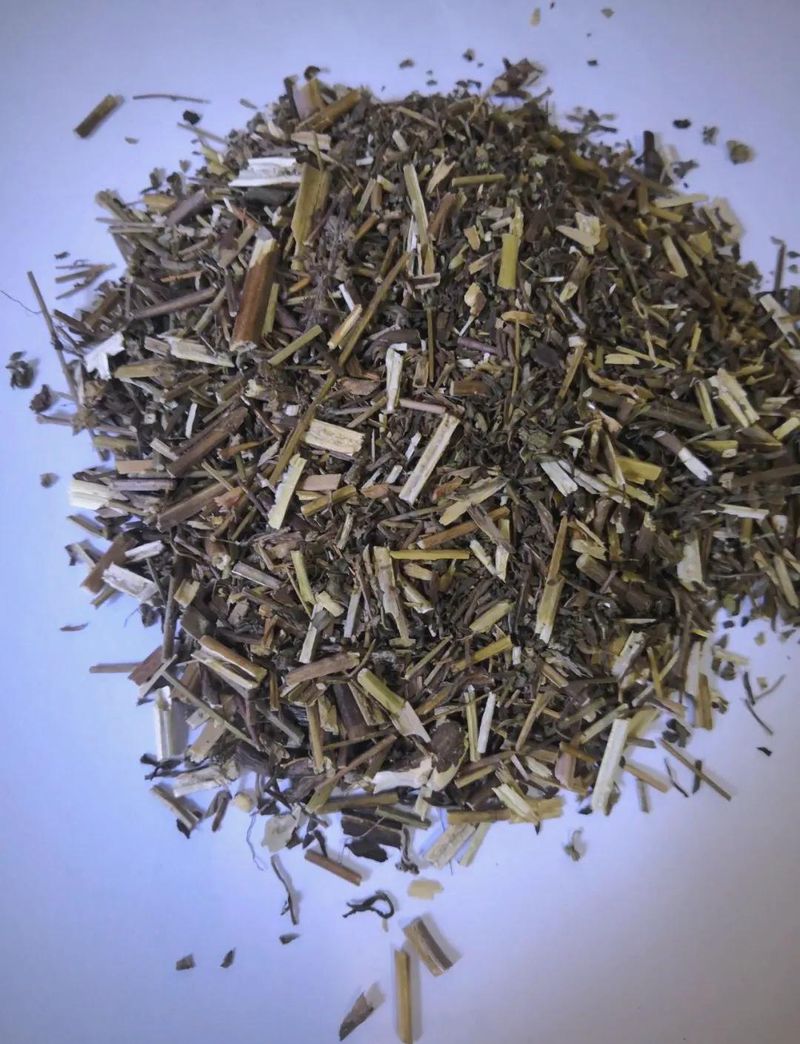 荆芥的种植方法