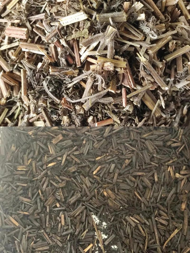 荆芥的种植方法