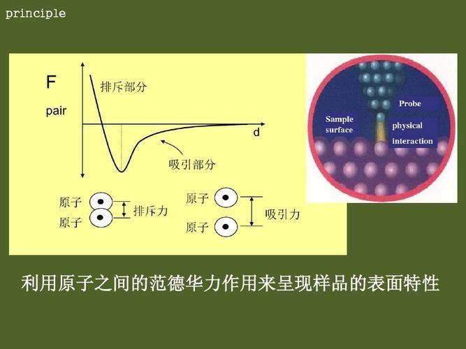 原子力显微镜 原理