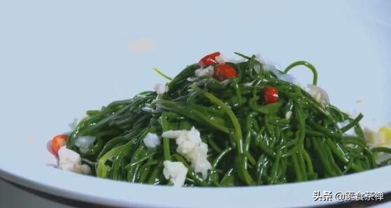 野沙葱野外种植方法