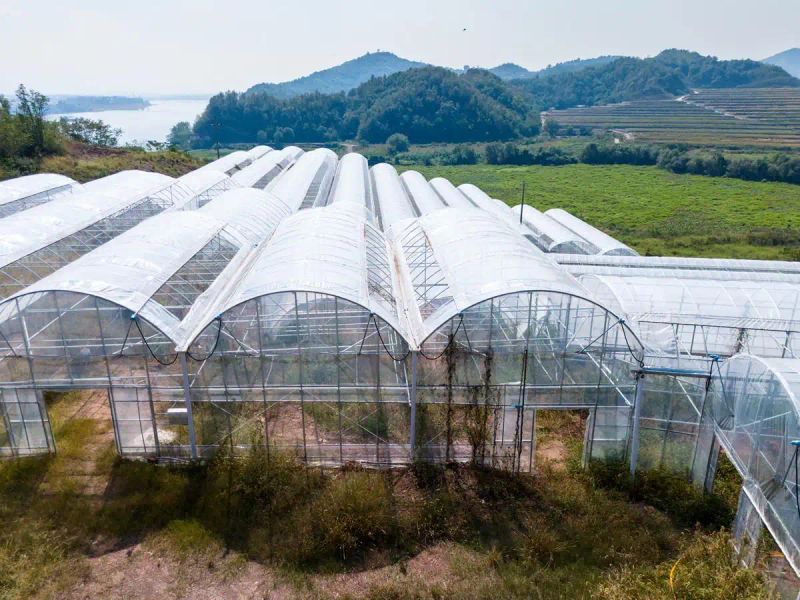Anti-season planting techniques