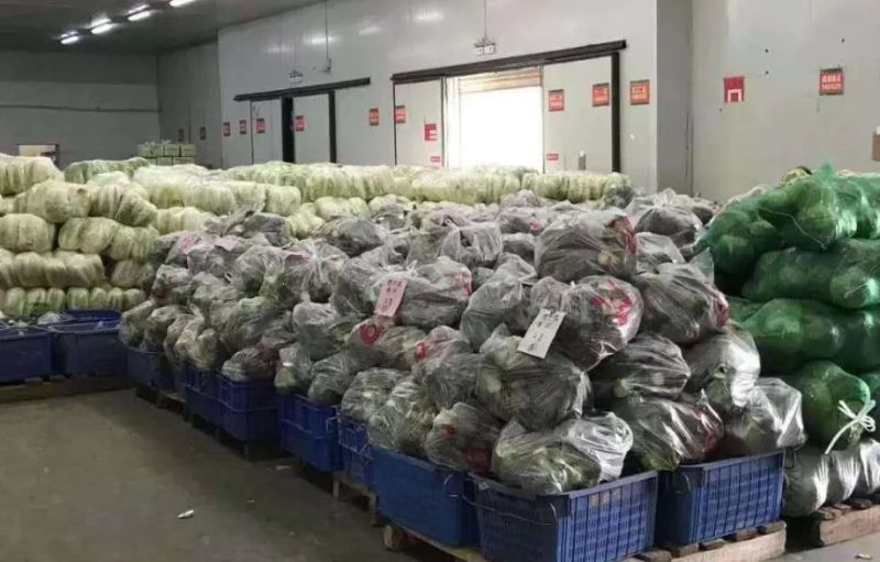 苋菜的种植方法
