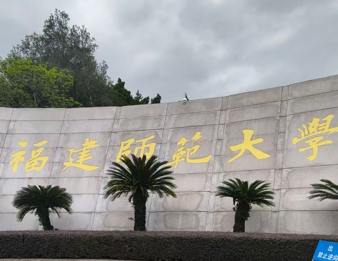 seo技术培训