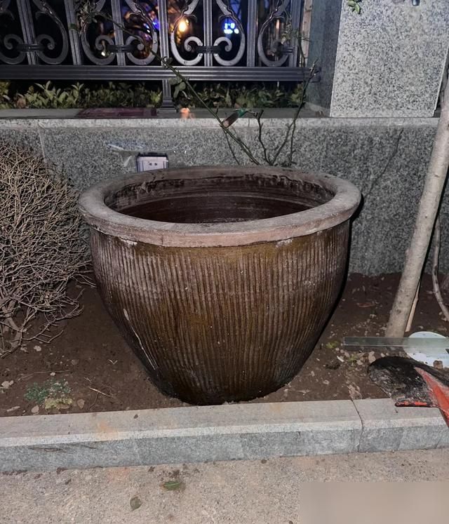 家里荷花怎么种植方法