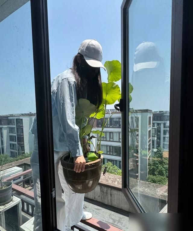 家里荷花怎么种植方法
