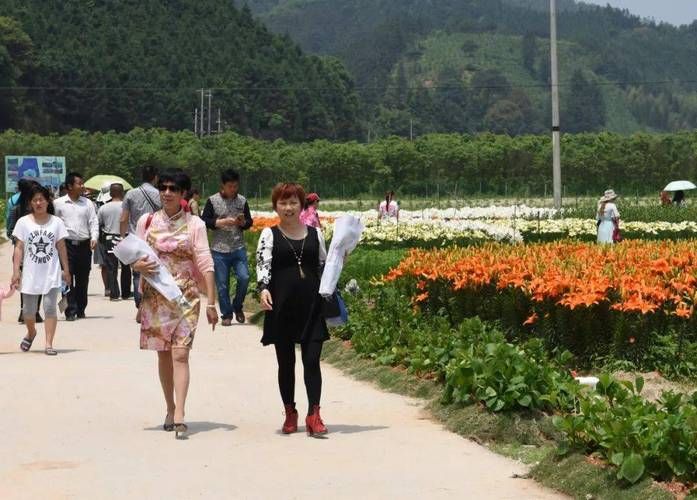 百合花的种植技术
