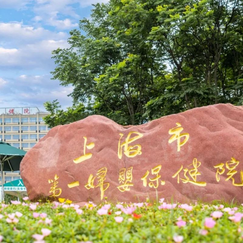 先天性耳朵畸形整容费用