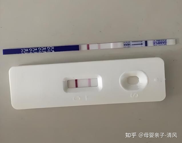 一个验孕棒多少钱