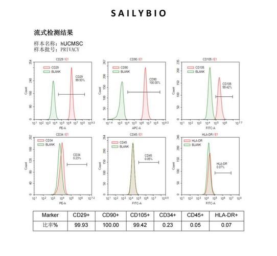 腺病毒转染细胞步骤