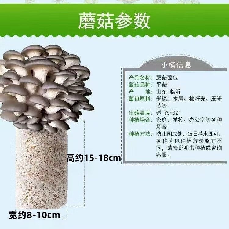 椴木香菇种植技术
