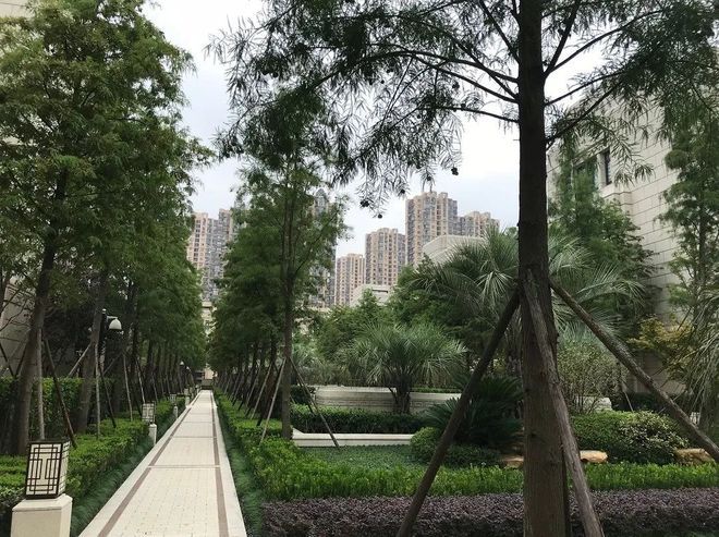 上海宝华源墅价格暴跌