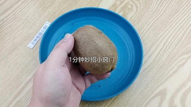 猕猴桃种植技术 网盘