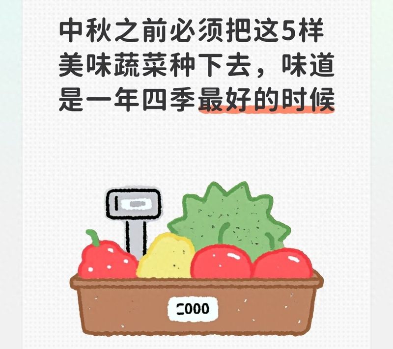 中秋之前必须把这5样美味蔬菜种下去,味道是一年四季最好的时候