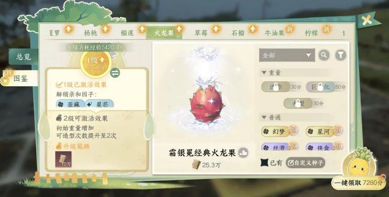 菠萝头种植方法图片