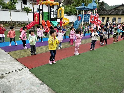 几内亚湾知识