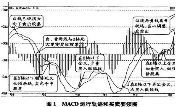 macd的周期循环规律