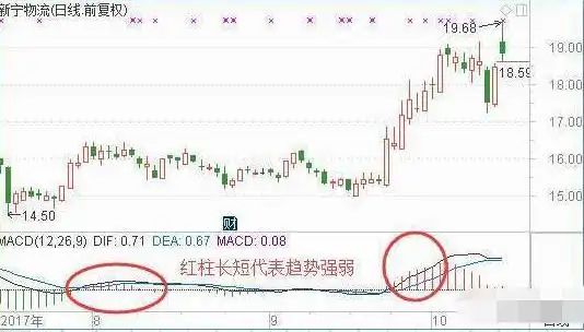 macd的周期循环规律