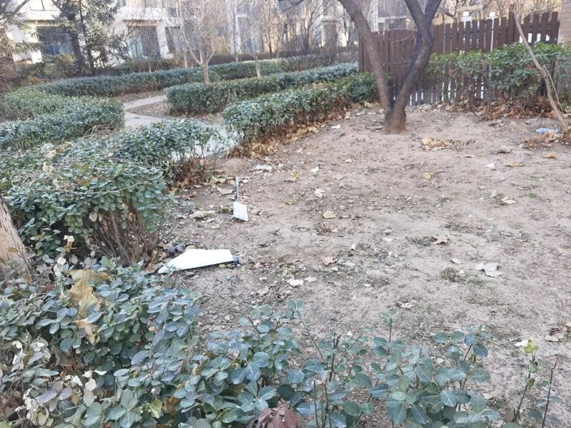 东坝房价走势