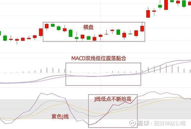 macd的周期循环规律