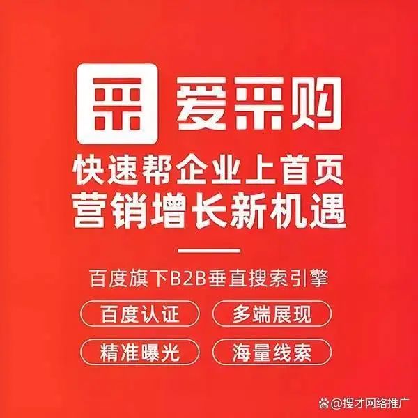 合肥seo优化