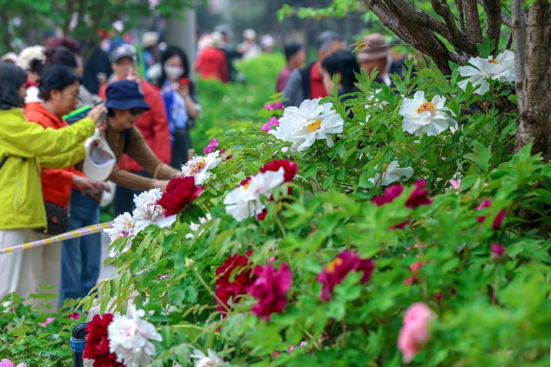 A video of the botanical plantation