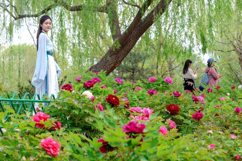 A video of the botanical plantation