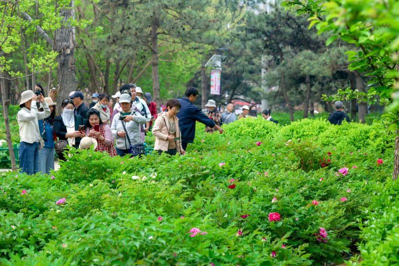 A video of the botanical plantation