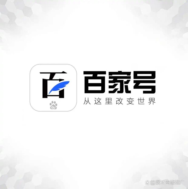 合肥seo优化