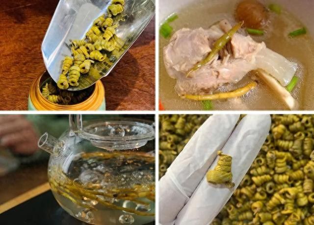 石斛种植方法视频