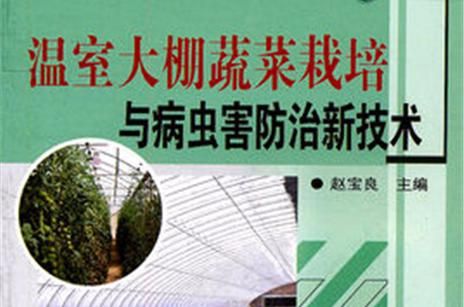 温室种植蔬菜