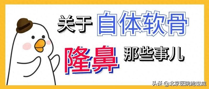 软骨隆鼻多少钱