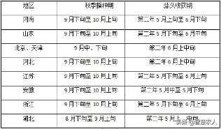 大蒜高产种植技术