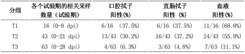 猪瘟抗体检测方法