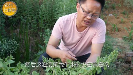 莴笋种植时间和方法