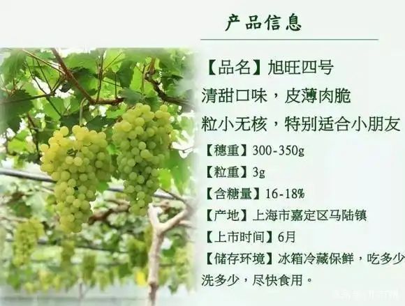 Grape cultivation techniques
