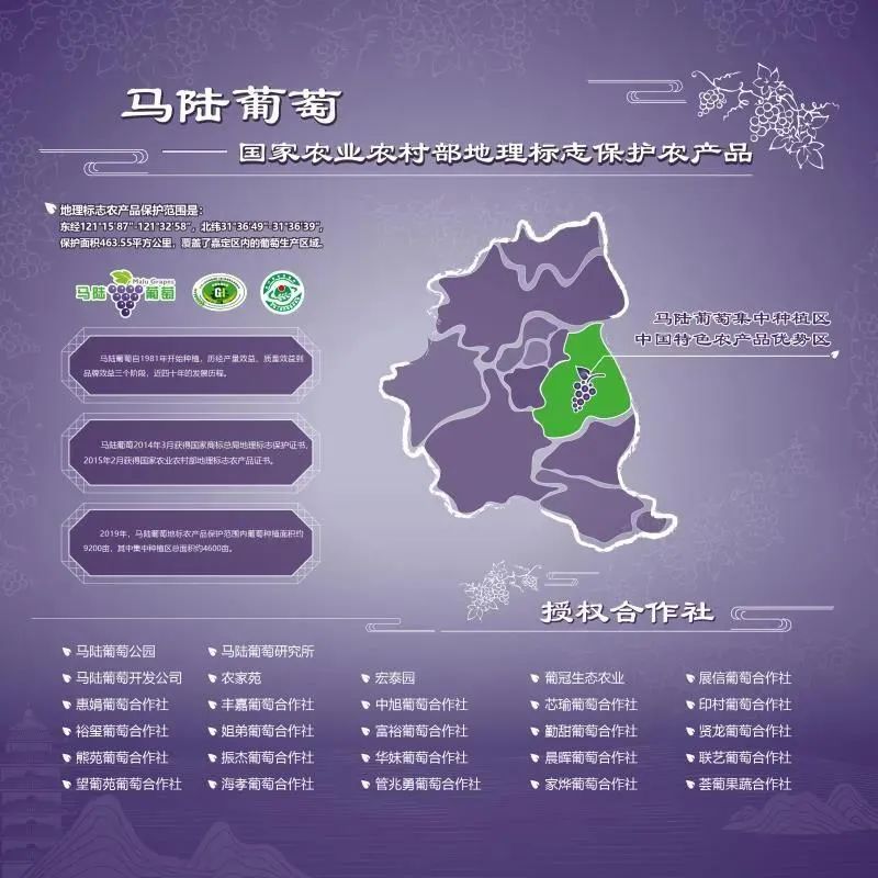 嘉定地产马陆葡萄今天上市啦!来尝一口鲜吗?
