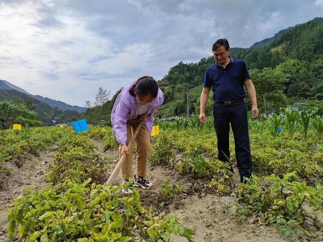 新华全媒+丨村里来了个会种地的博士