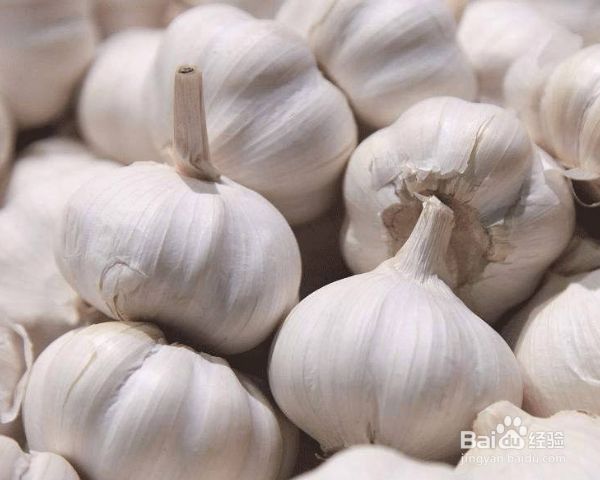 大蒜种植时间和方法
