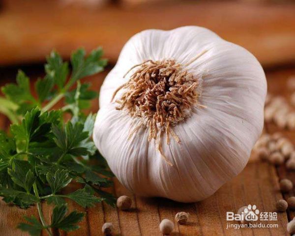 大蒜种植时间和方法