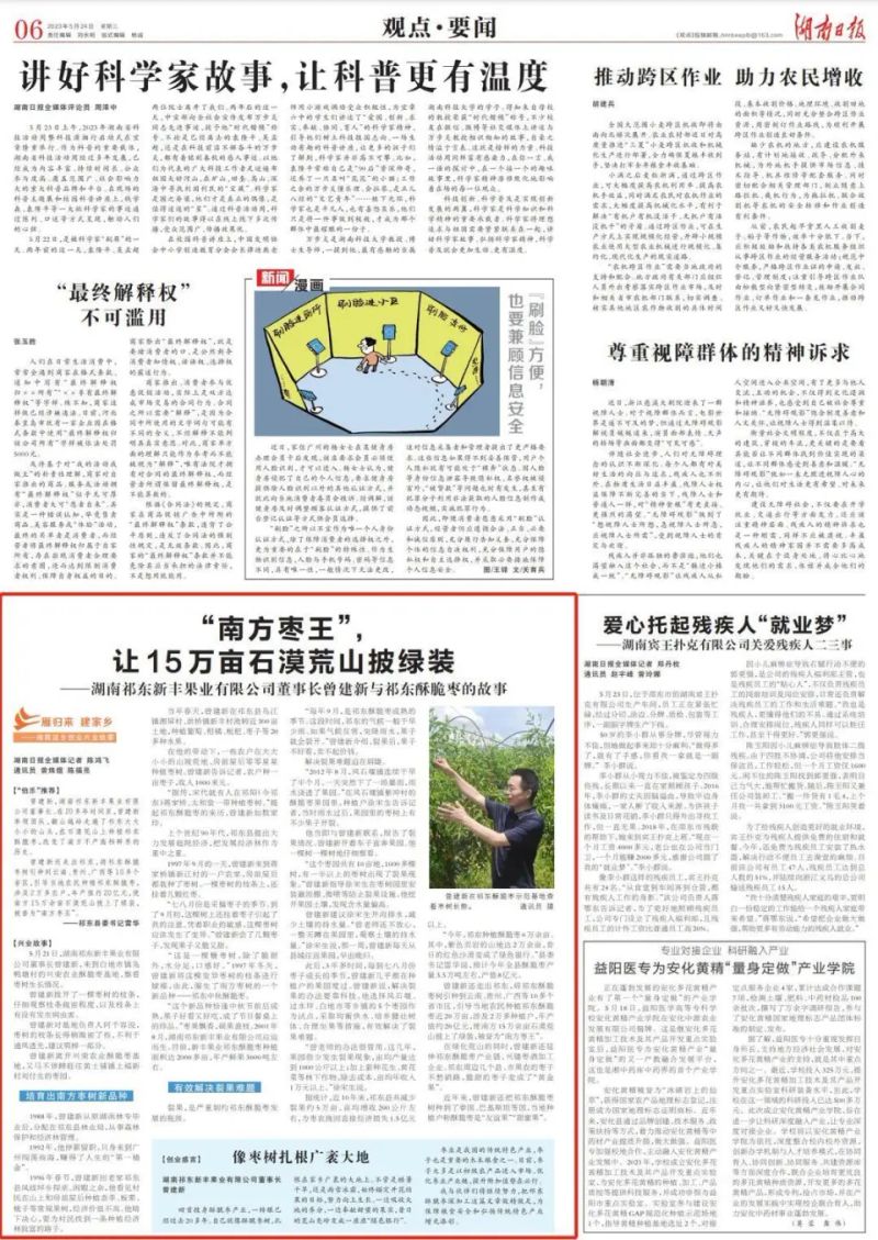 中秋酥脆枣种植技术