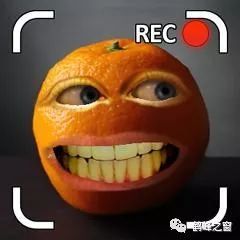 丑八怪水果种植
