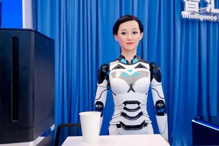 机器人售价