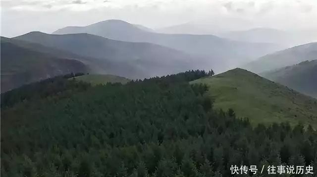 榆树种植技术