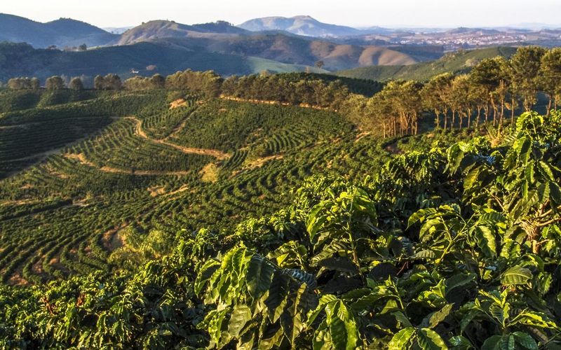 立体种植技术