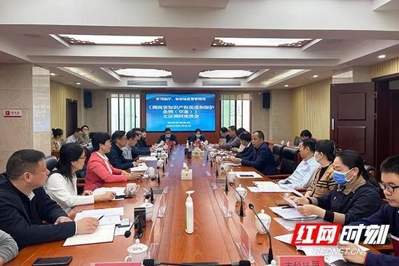 知识产权 管理 制度