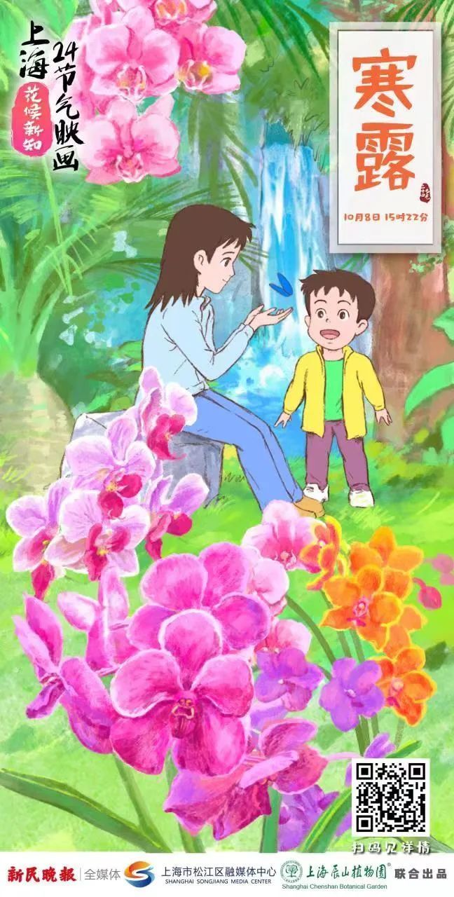 食用夜兰花种植方法