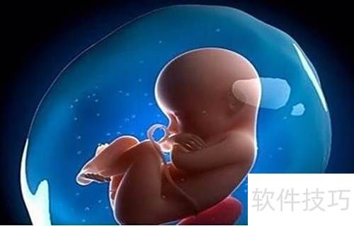 Second-born pregnancy experience