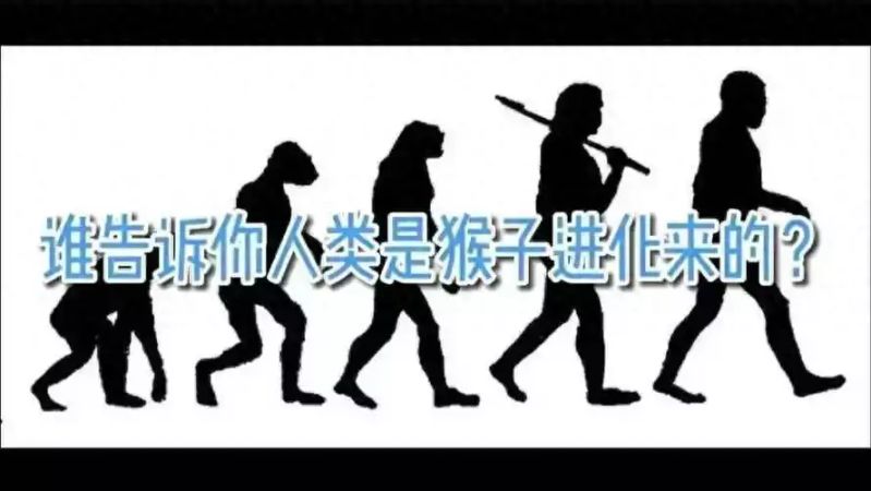 你真的懂进化论吗?被误读的达尔文理论