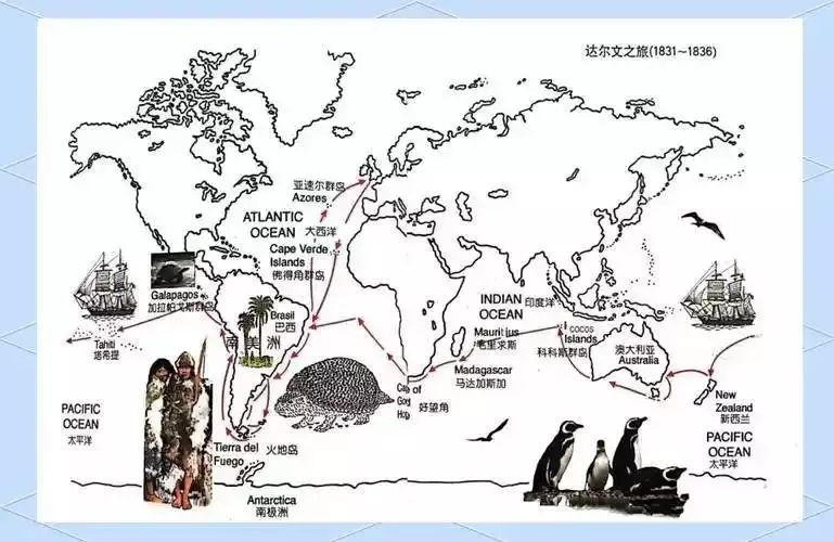 达尔文理论是什么意思